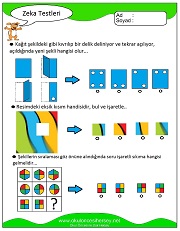 Zeka Gelişim Testleri